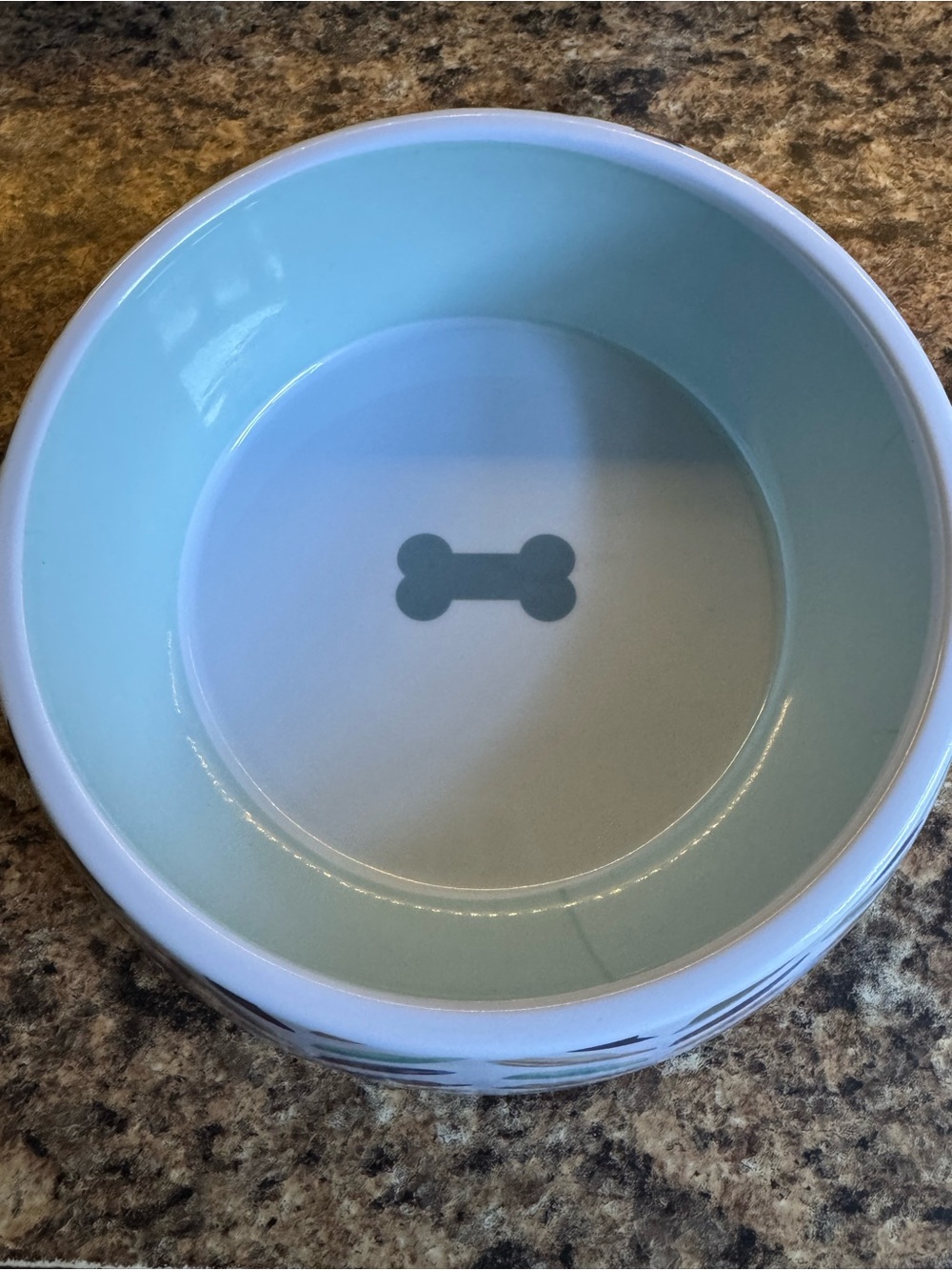 Aqua Melamine Dog Bowl with Bone Motif